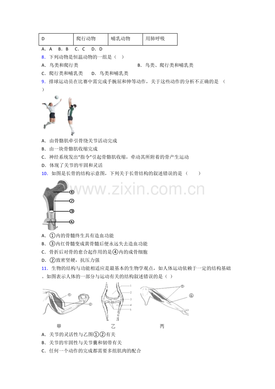 成都嘉祥外国语学校郫县分校八年级上册期末生物试卷含答案[001].doc_第2页