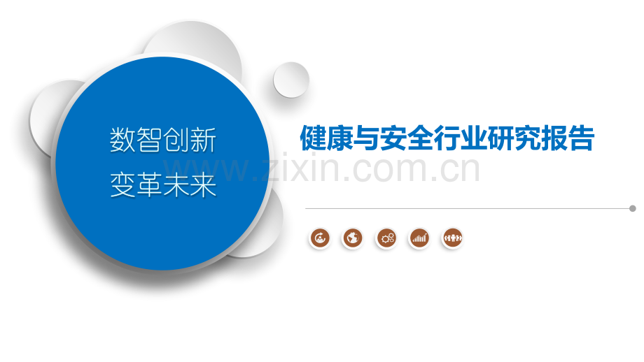 健康与安全行业研究报告.pptx_第1页