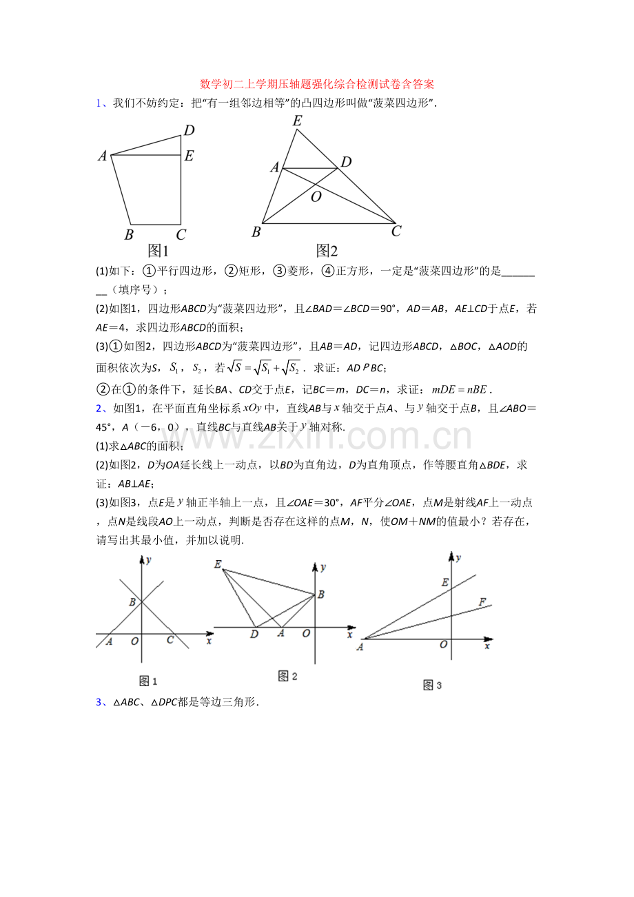 数学初二上学期压轴题强化综合检测试卷含答案[001].doc_第1页