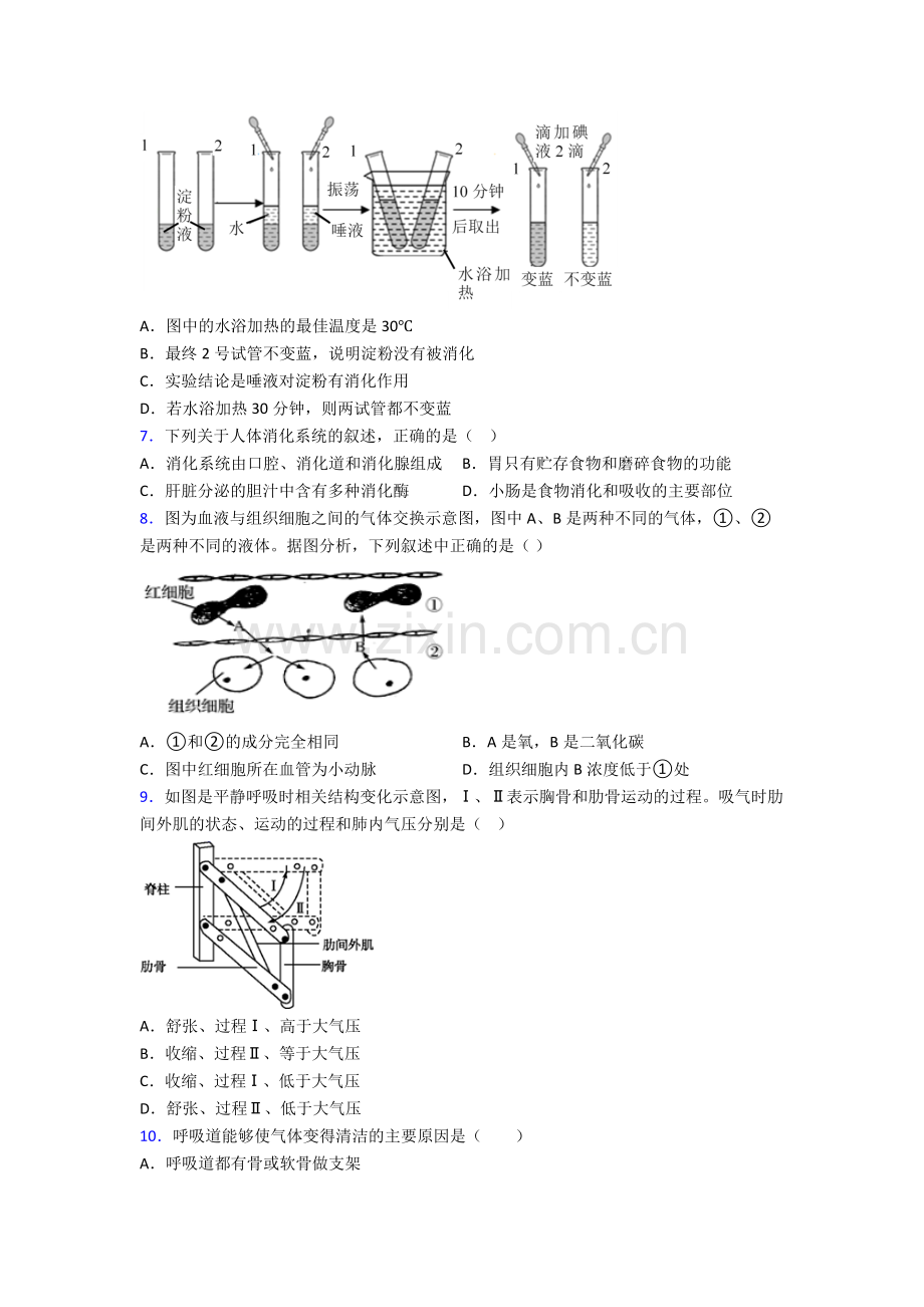 人教版七年级下册生物期中测试.doc_第2页