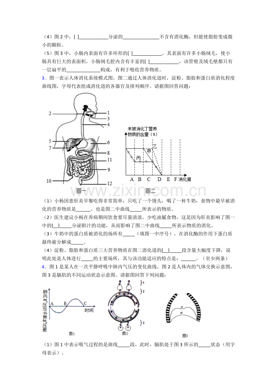 2024年人教版中学初一下册生物期末解答实验探究大题综合复习试卷及答案.doc_第2页