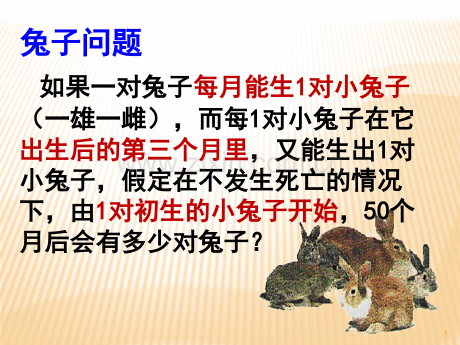 校本课程有趣的斐波拉契数列.ppt_第1页
