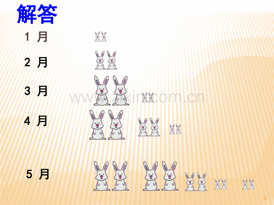 校本课程有趣的斐波拉契数列.ppt_第2页