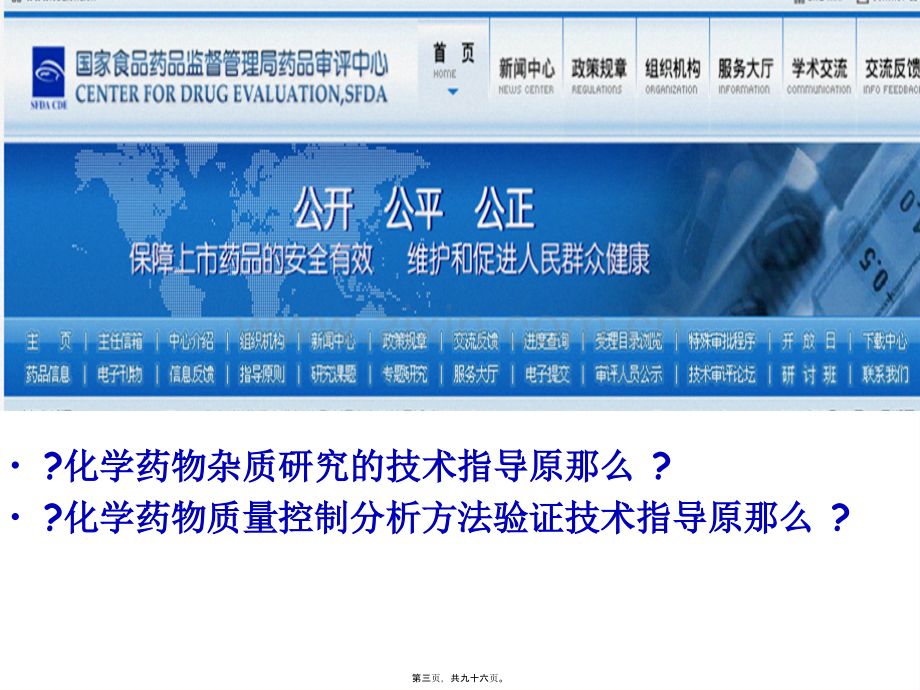原料药质量研究.pptx_第2页