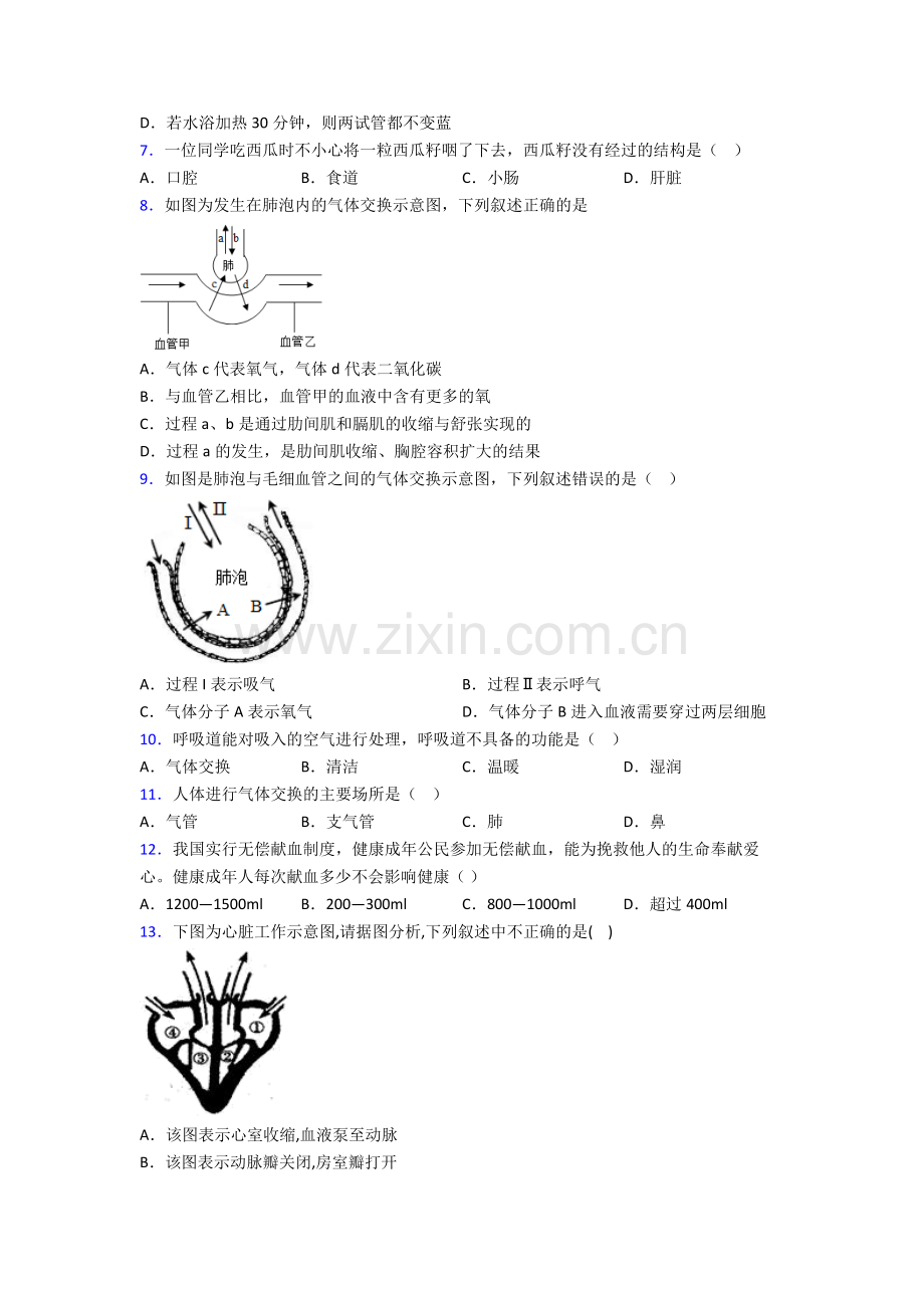 2024年人教版中学初一下册生物期中学业水平卷(附解析)word.doc_第2页