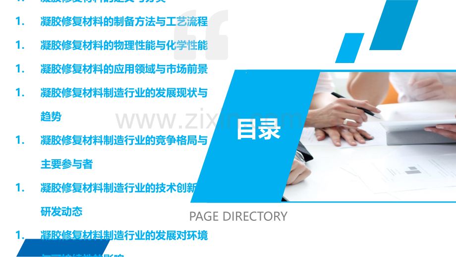 凝胶修复材料制造行业概述.pptx_第2页