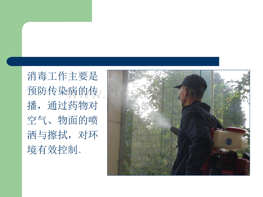 消毒的基本操作程序.ppt_第2页