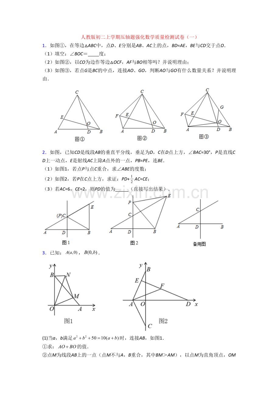 人教版初二上学期压轴题强化数学质量检测试卷(一).doc_第1页