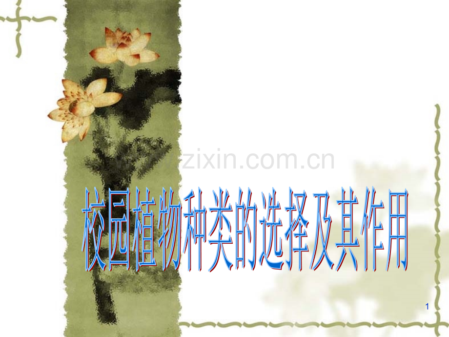 小学综合实践校园植物.ppt_第1页
