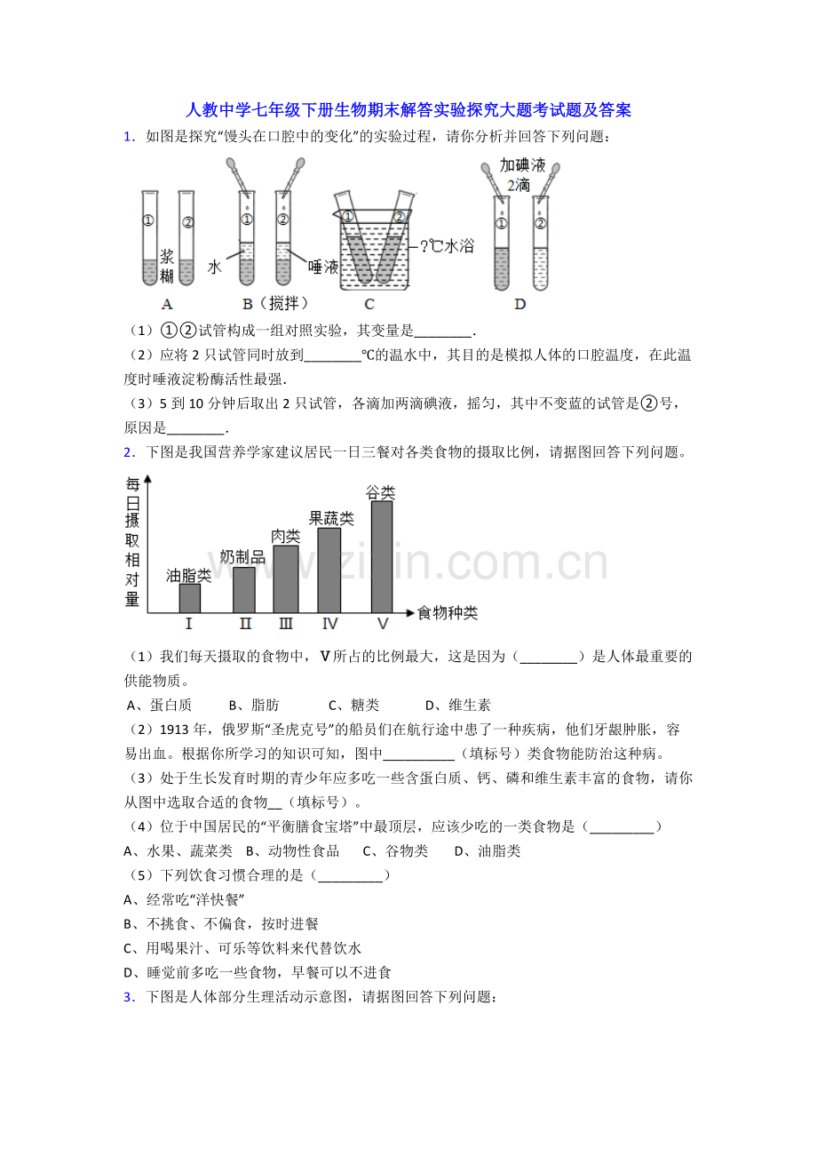 人教中学七年级下册生物期末解答实验探究大题考试题及答案.doc_第1页