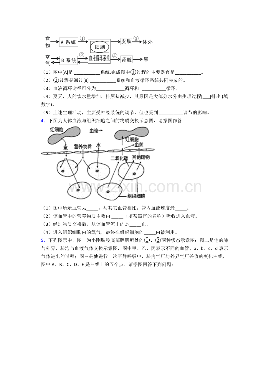 人教中学七年级下册生物期末解答实验探究大题考试题及答案.doc_第2页