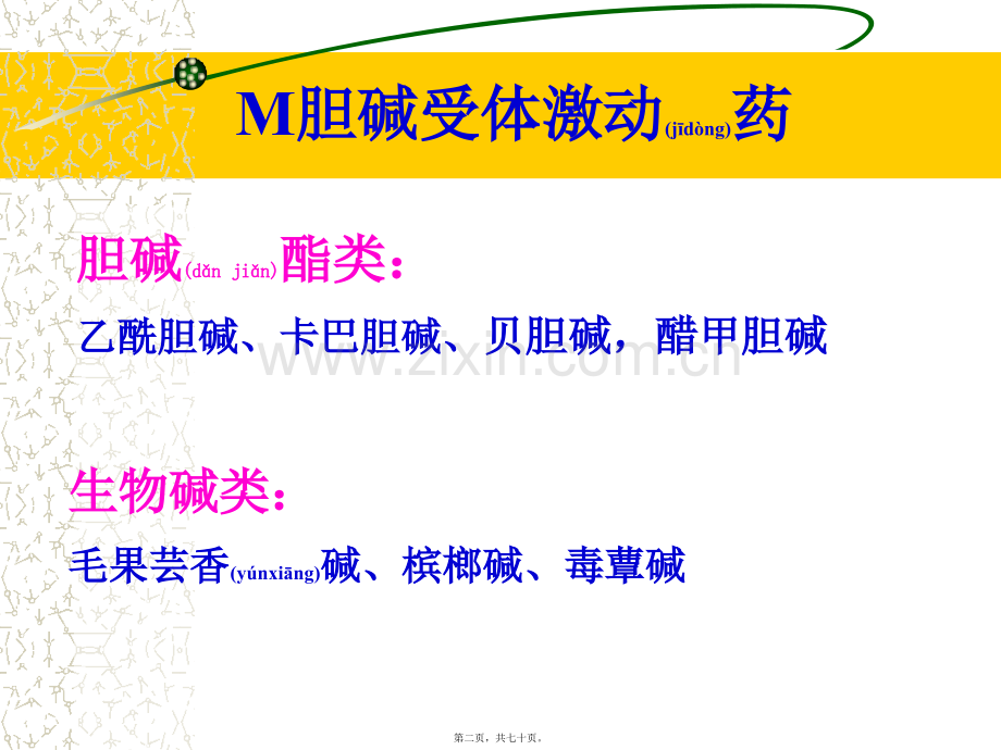 胆碱受体激动剂.ppt_第2页