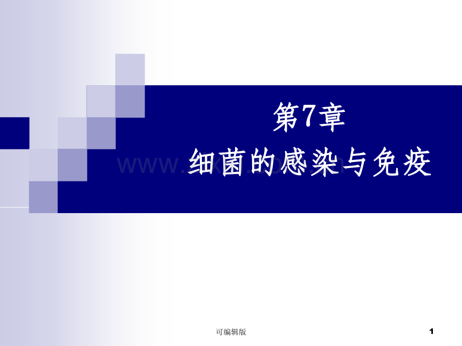 细菌的感染与免疫(6).ppt_第1页