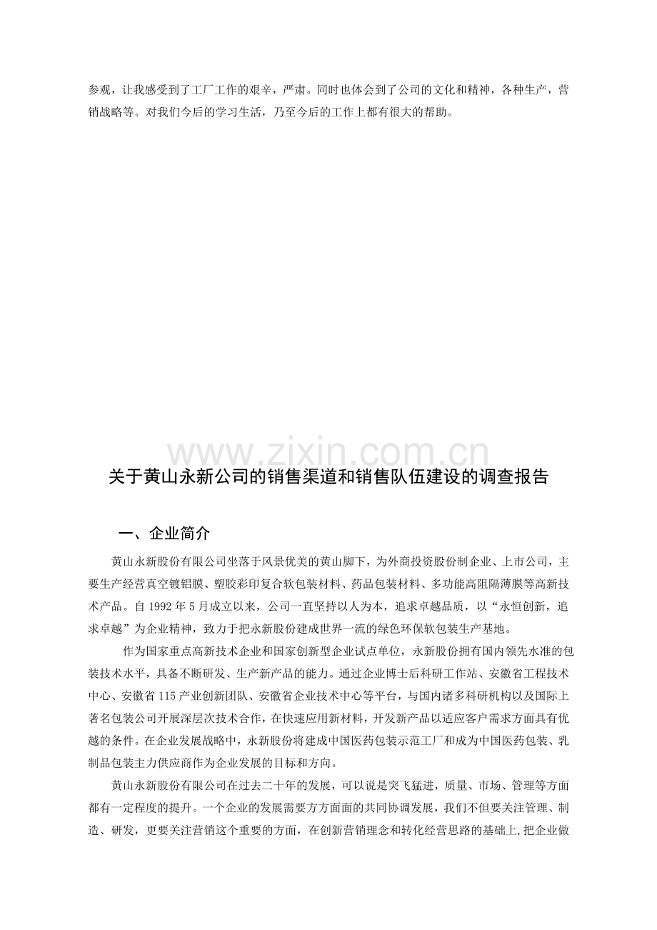 公司销售渠道和销售队伍建设的调查报告.doc_第2页