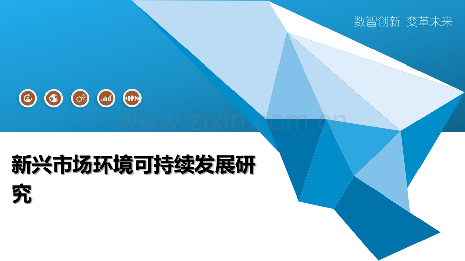 新兴市场环境可持续发展研究简介.pptx_第1页