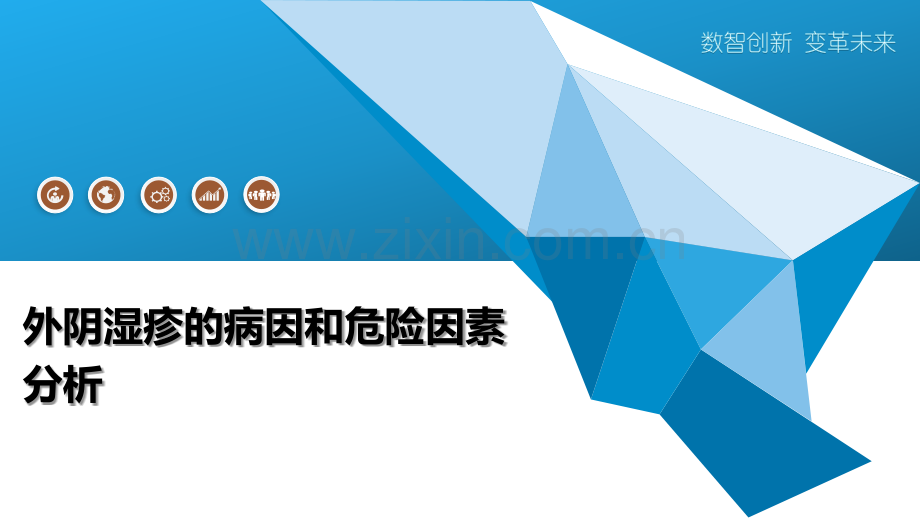 外阴湿疹的病因和危险因素分析.pptx_第1页