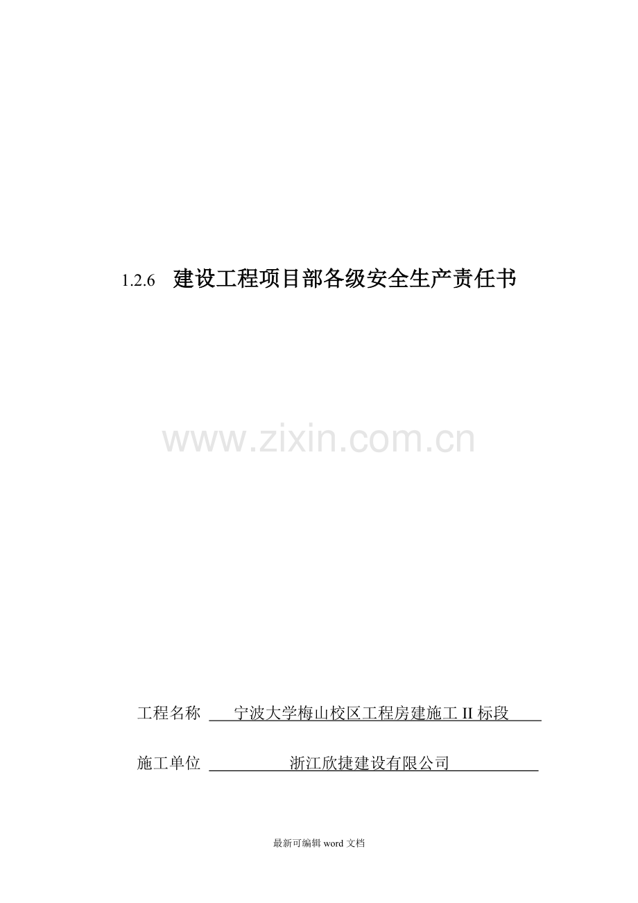 建设工程项目部各级安全生产责任书.doc_第1页