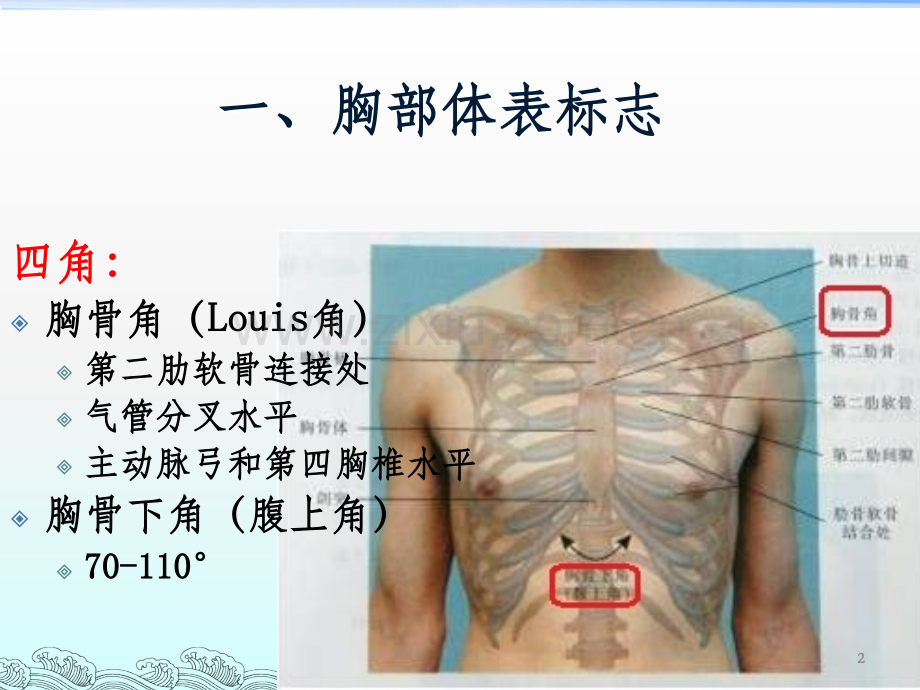 胸部体格检查.ppt_第2页