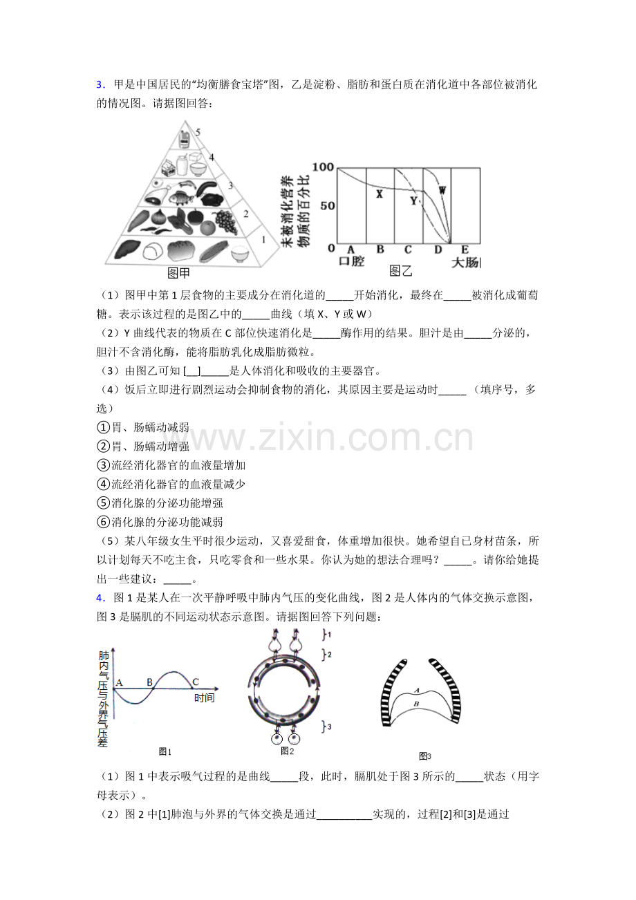 人教版七年级生物下册期末解答实验探究大题综合复习卷附答案.doc_第2页