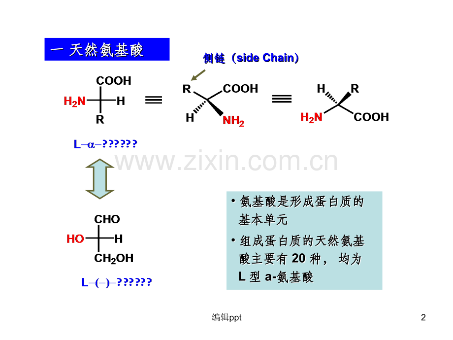 大学本科有机化学41氨基酸.ppt_第2页