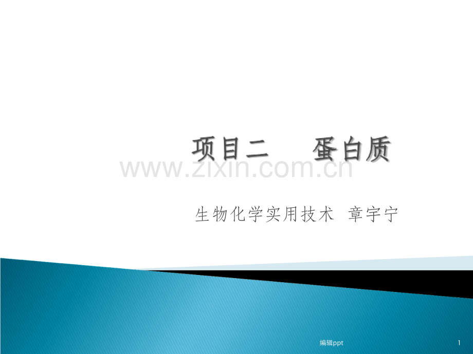 大专生物化学课件新蛋白质组成性质和结构.ppt_第1页
