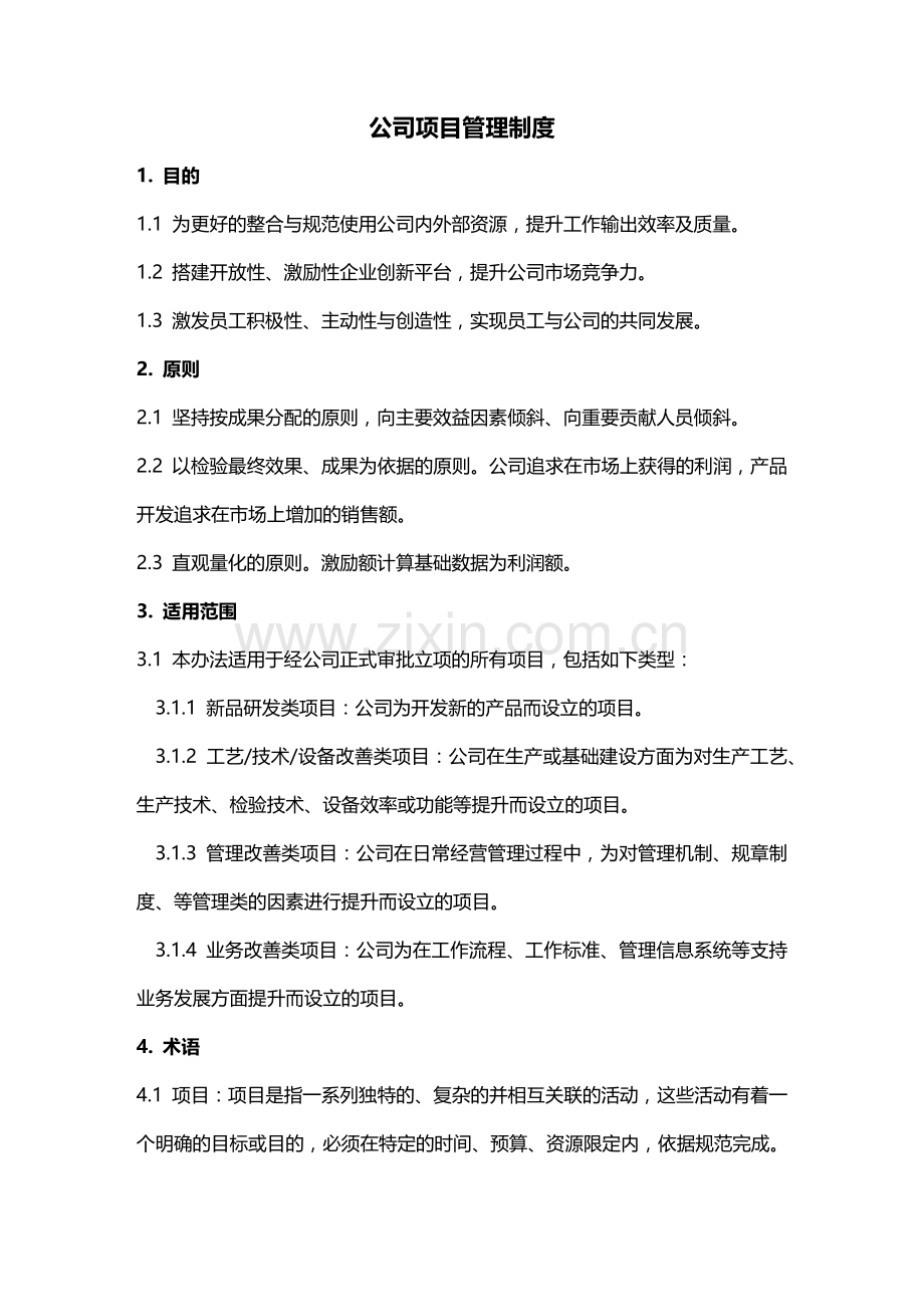 公司项目管理制度.docx_第1页