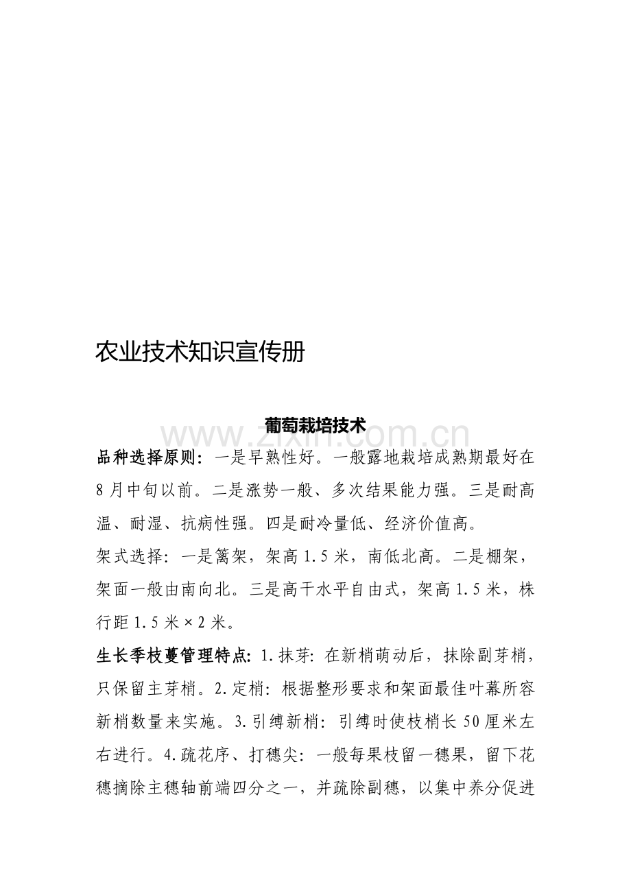 农村实用技术宣传手册.doc_第1页