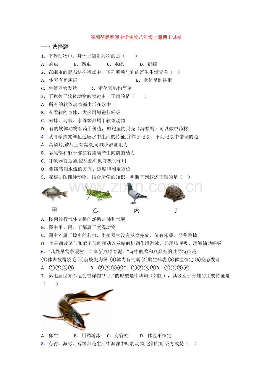 深圳葵涌葵涌中学生物八年级上册期末试卷.doc_第1页