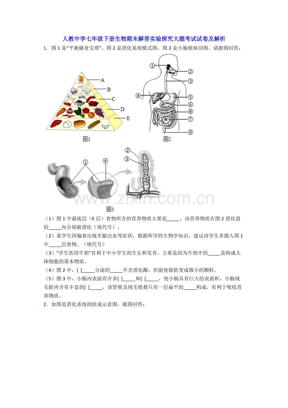 人教中学七年级下册生物期末解答实验探究大题考试试卷及解析.doc_第1页