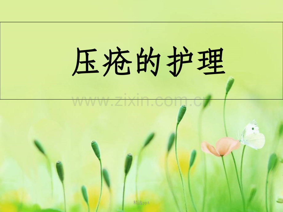 压疮的护理1.ppt_第1页