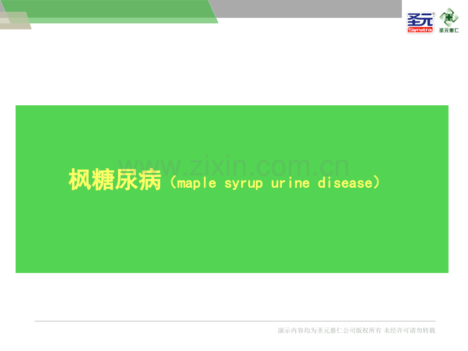 枫糖尿病圣元版.ppt_第1页