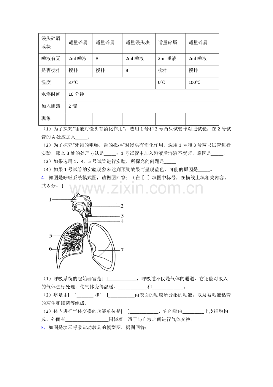 2023年人教版初一下册生物期末解答实验探究大题试卷(及答案)优秀.doc_第2页