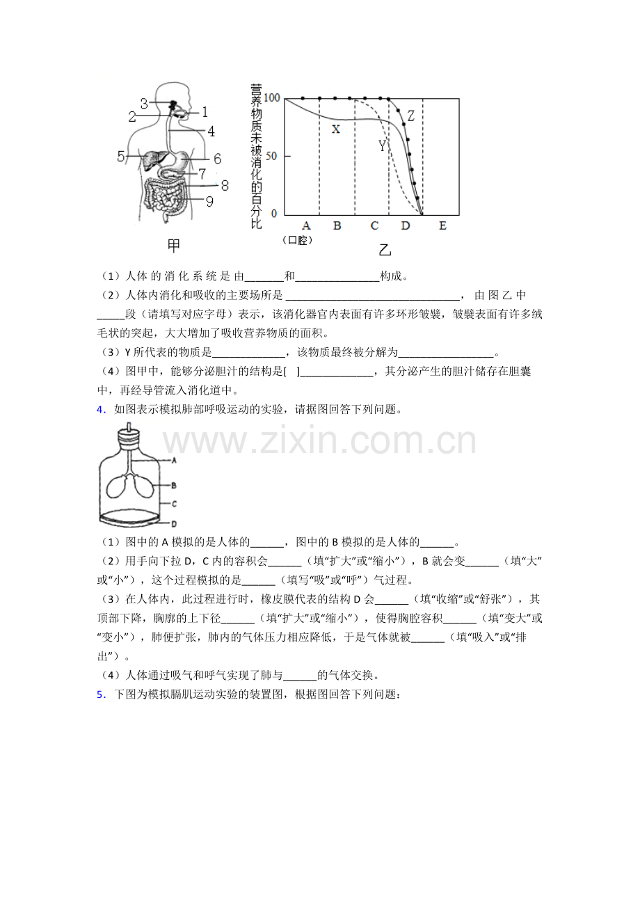 2023年人教版初一下册生物期末解答实验探究大题测试(及答案)大全.doc_第2页