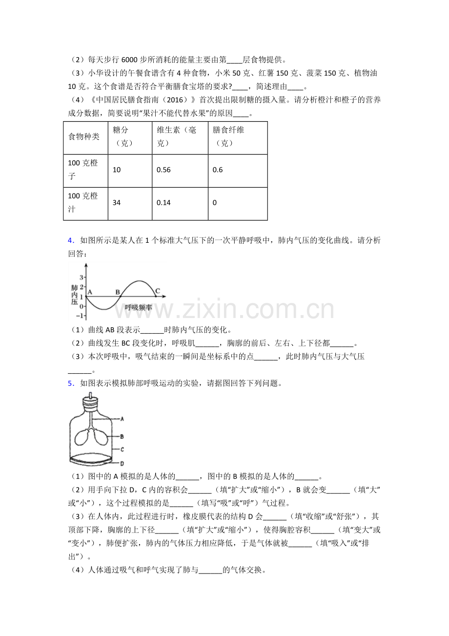 2023年人教版初一下册生物期末解答实验探究大题质量检测卷(附解析)word.doc_第2页