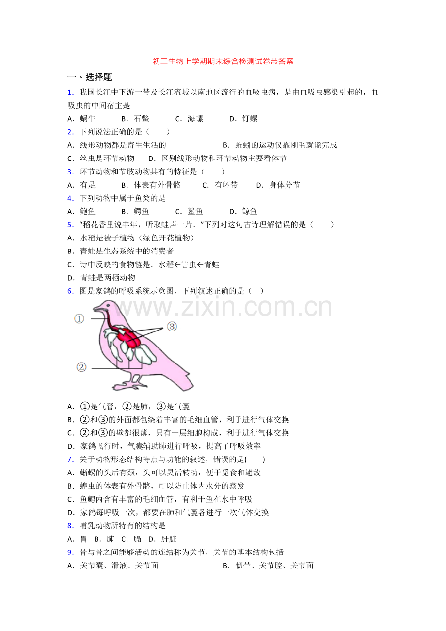 初二生物上学期期末综合检测试卷带答案.doc_第1页