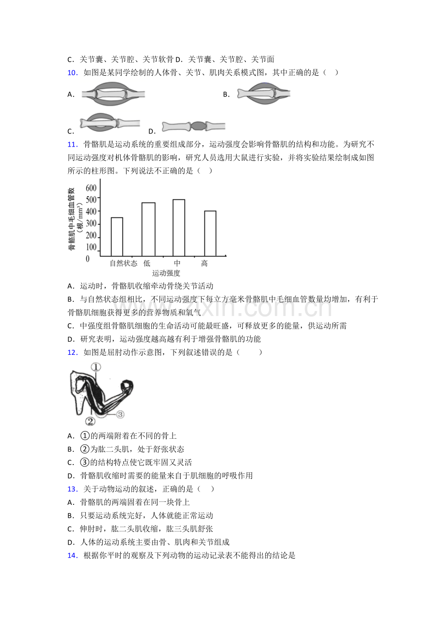 初二生物上学期期末综合检测试卷带答案.doc_第2页