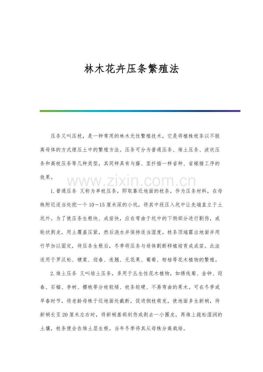 林业品牌建设与保护行动计划(～).docx_第1页