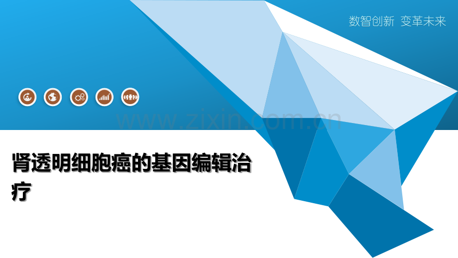 肾透明细胞癌的基因编辑治疗.pptx_第1页