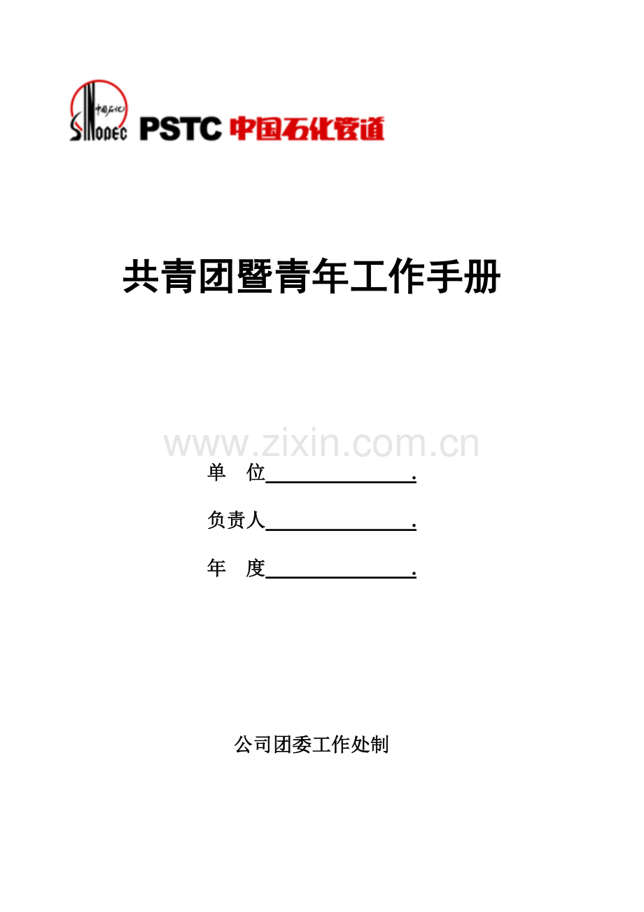 共青团暨青年工作标准化手册.doc_第1页