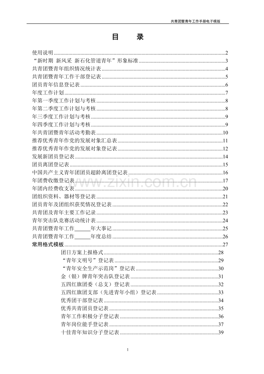 共青团暨青年工作标准化手册.doc_第2页