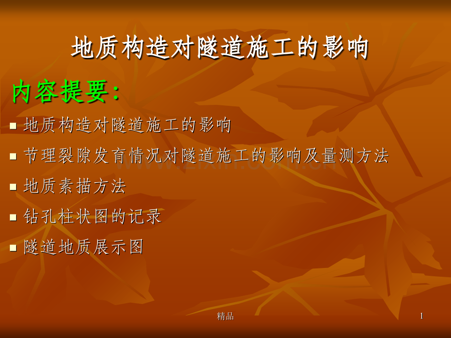隧道工程地质构造.ppt_第1页