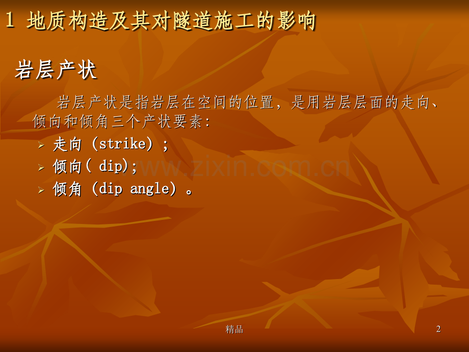 隧道工程地质构造.ppt_第2页