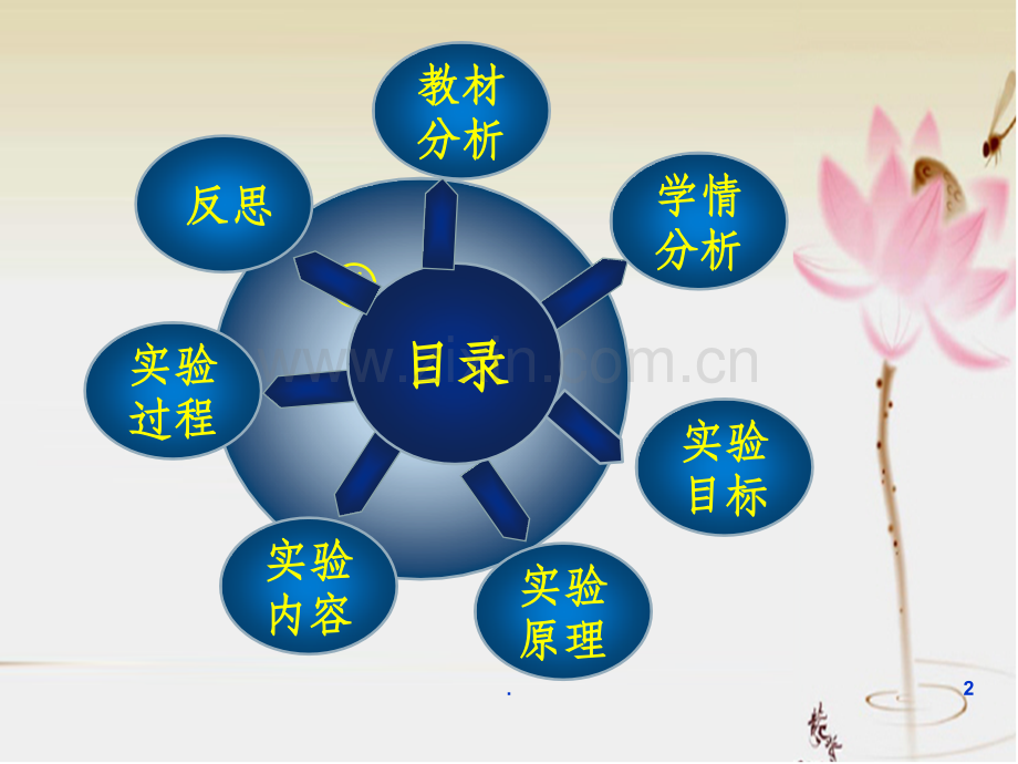 探究二氧化碳与氢氧化钠的反应.ppt_第2页