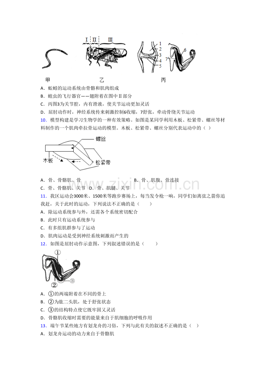 福州超德高级中学八年级上册期末生物试卷-(2).doc_第2页