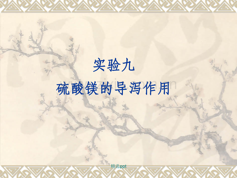 药理学实验9--硫酸镁的导泻作用.ppt_第1页