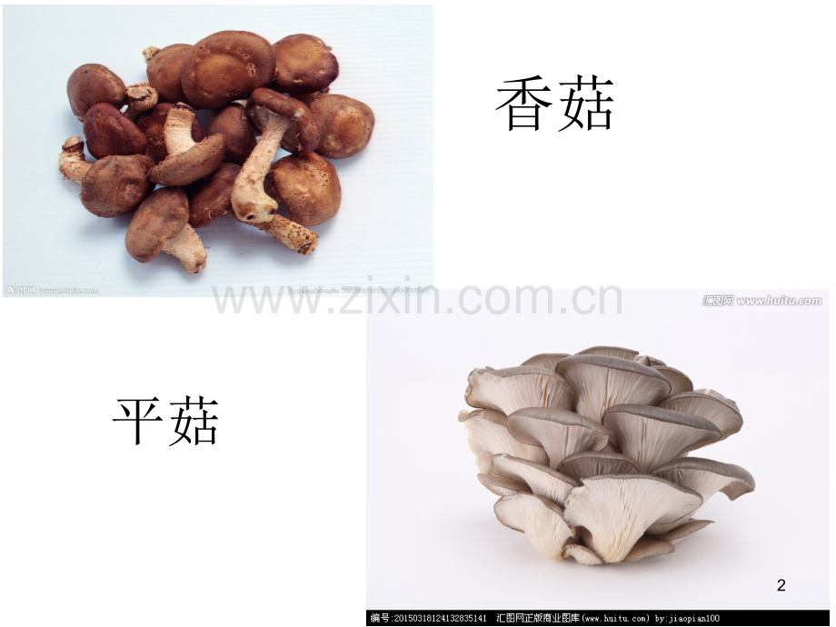 科常蔬菜品种多.ppt_第2页