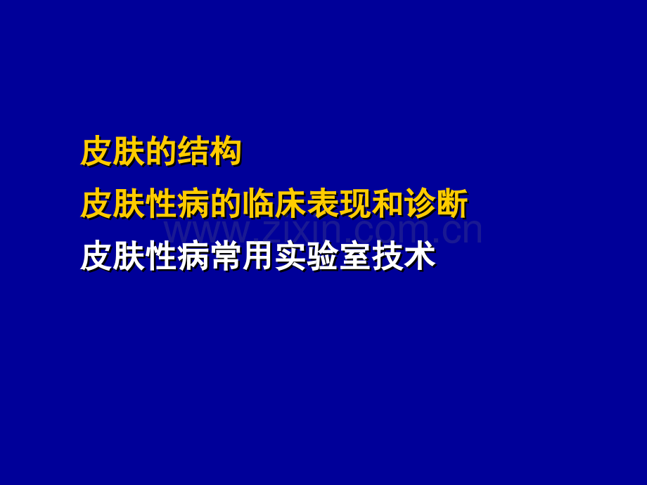 皮肤病的临床表现及诊断.ppt_第2页