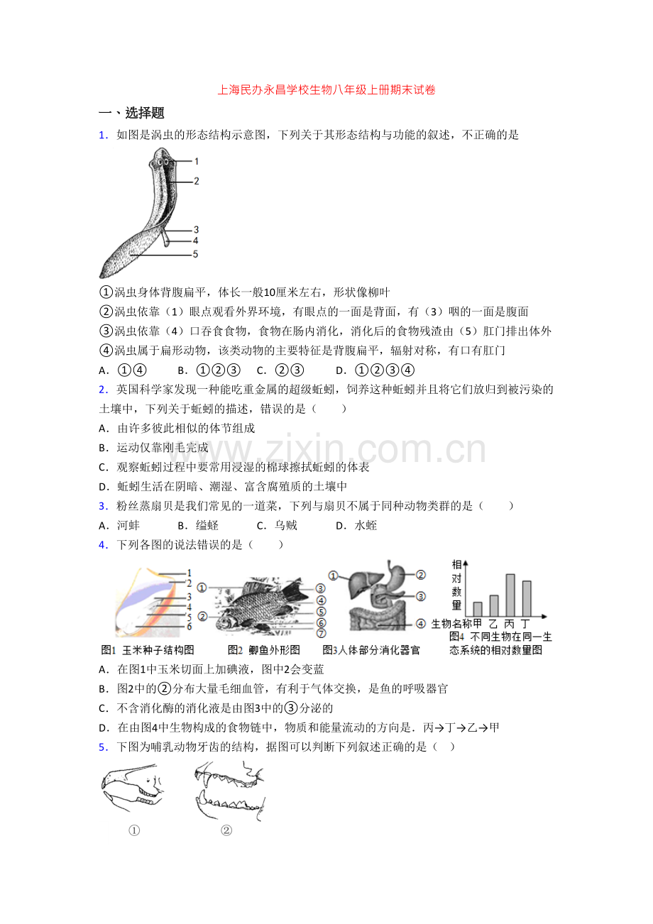 上海民办永昌学校生物八年级上册期末试卷.doc_第1页