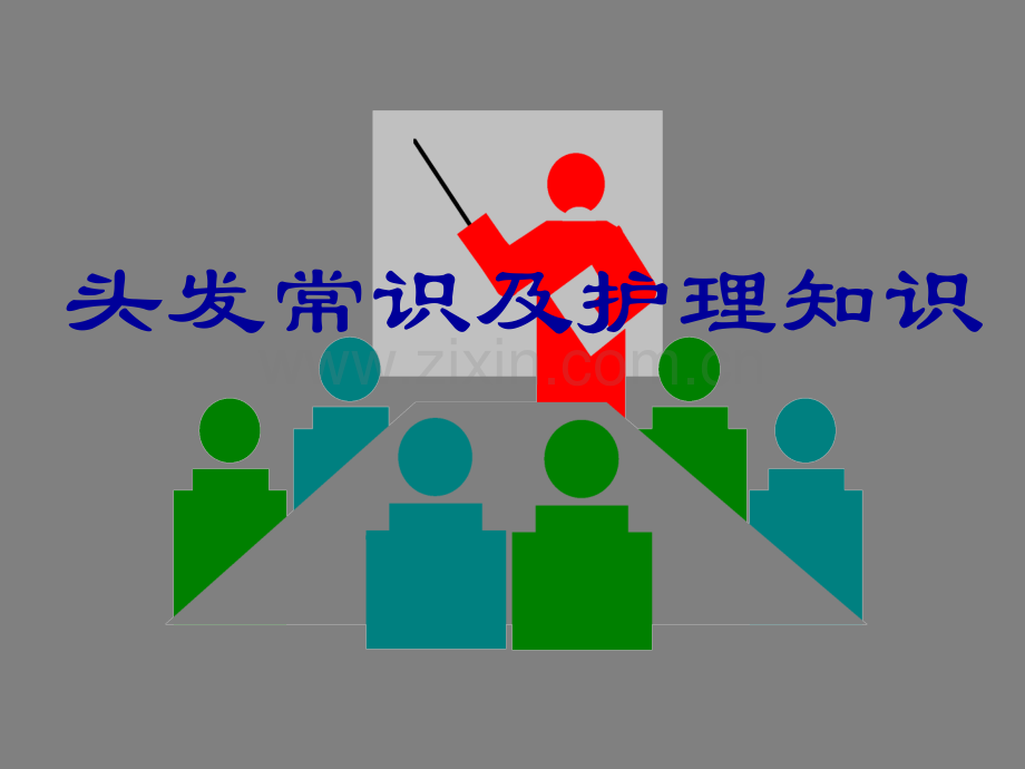 头发常识及护理知识.ppt_第1页