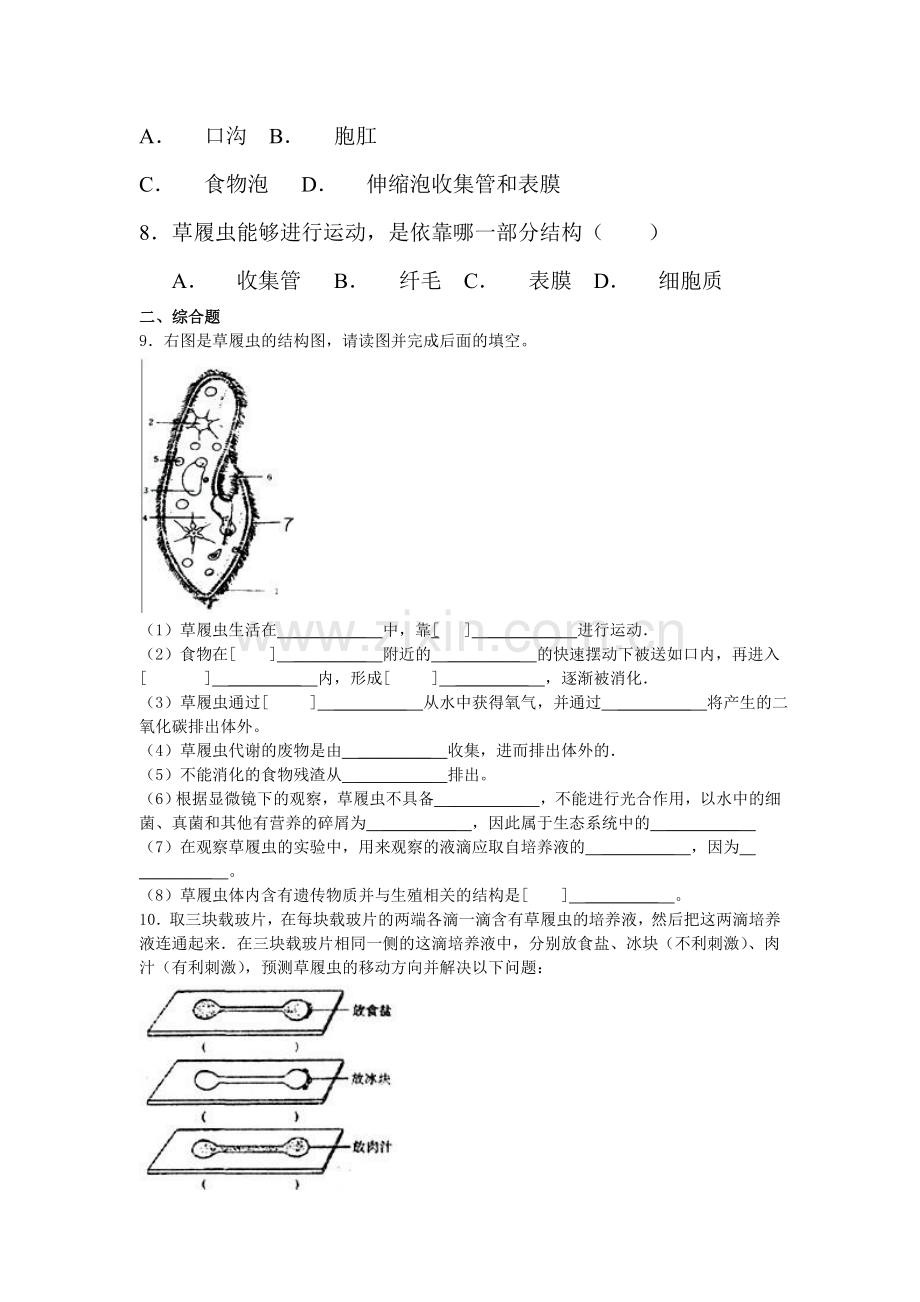 单细胞的生物体课时练习2.doc_第2页